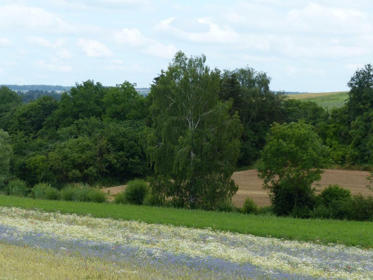 Ferienwohnung Heimsheim Buitenkant foto